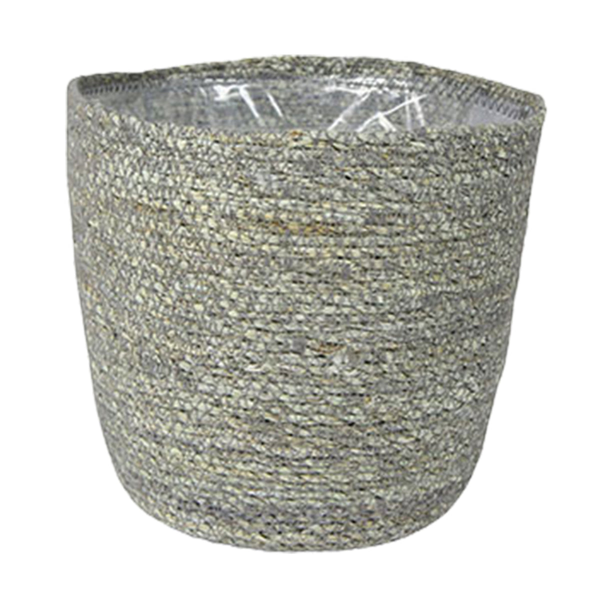 Yucca Yucca elephantipes with grey wicker basket