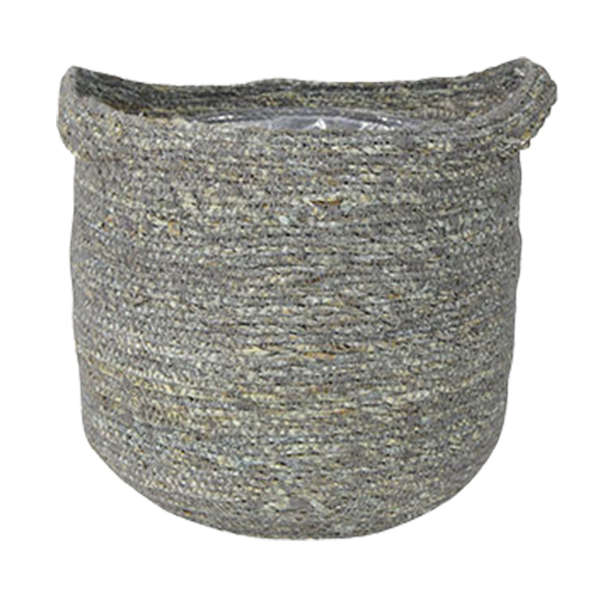 Fiddle-leaf fig plant Ficus lyrata with grey wicker basket