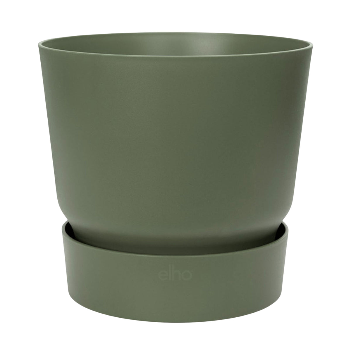 Fiddle-leaf fig plant Ficus lyrata with decorative green pot