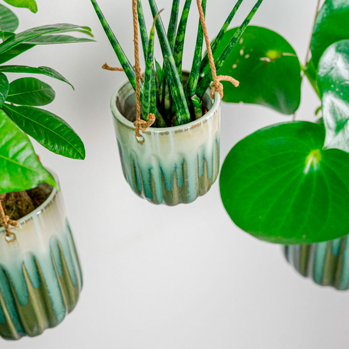 3x TS Hanging pot Alice blue