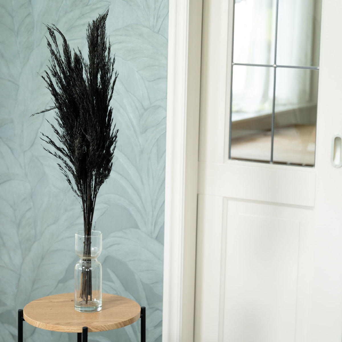 Dried flower plumes black