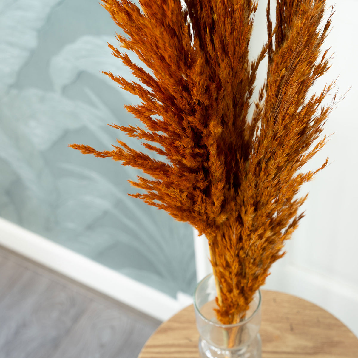 Dried flower plumes Terracotta
