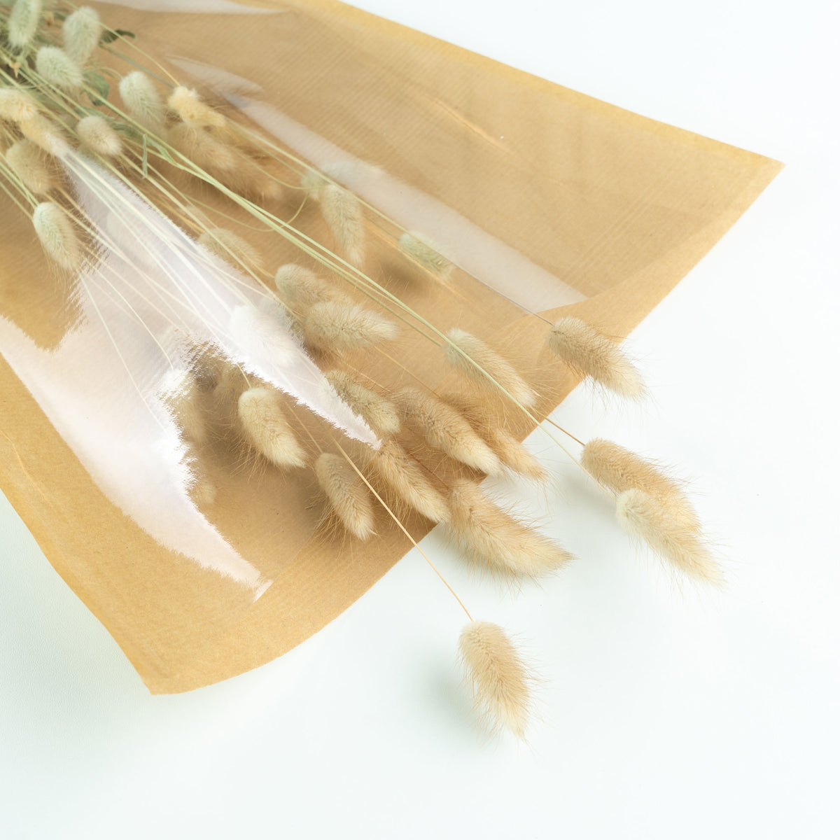 Dried flower Lagurus cream