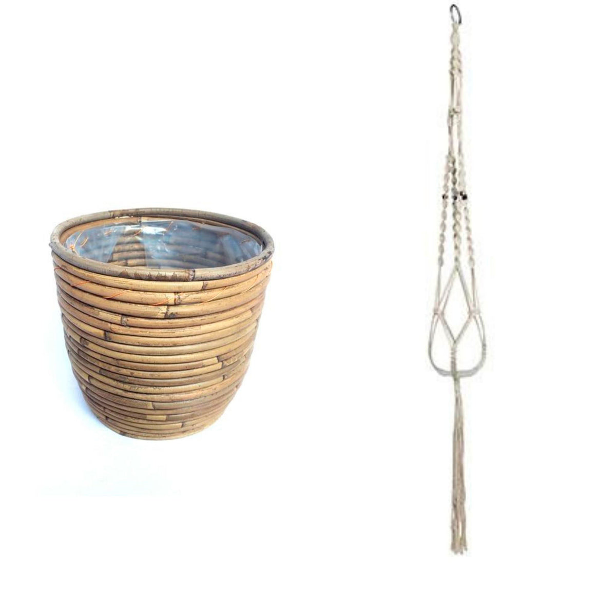 String of dolphins Senecio peregrinus green with rattan hanging pot
