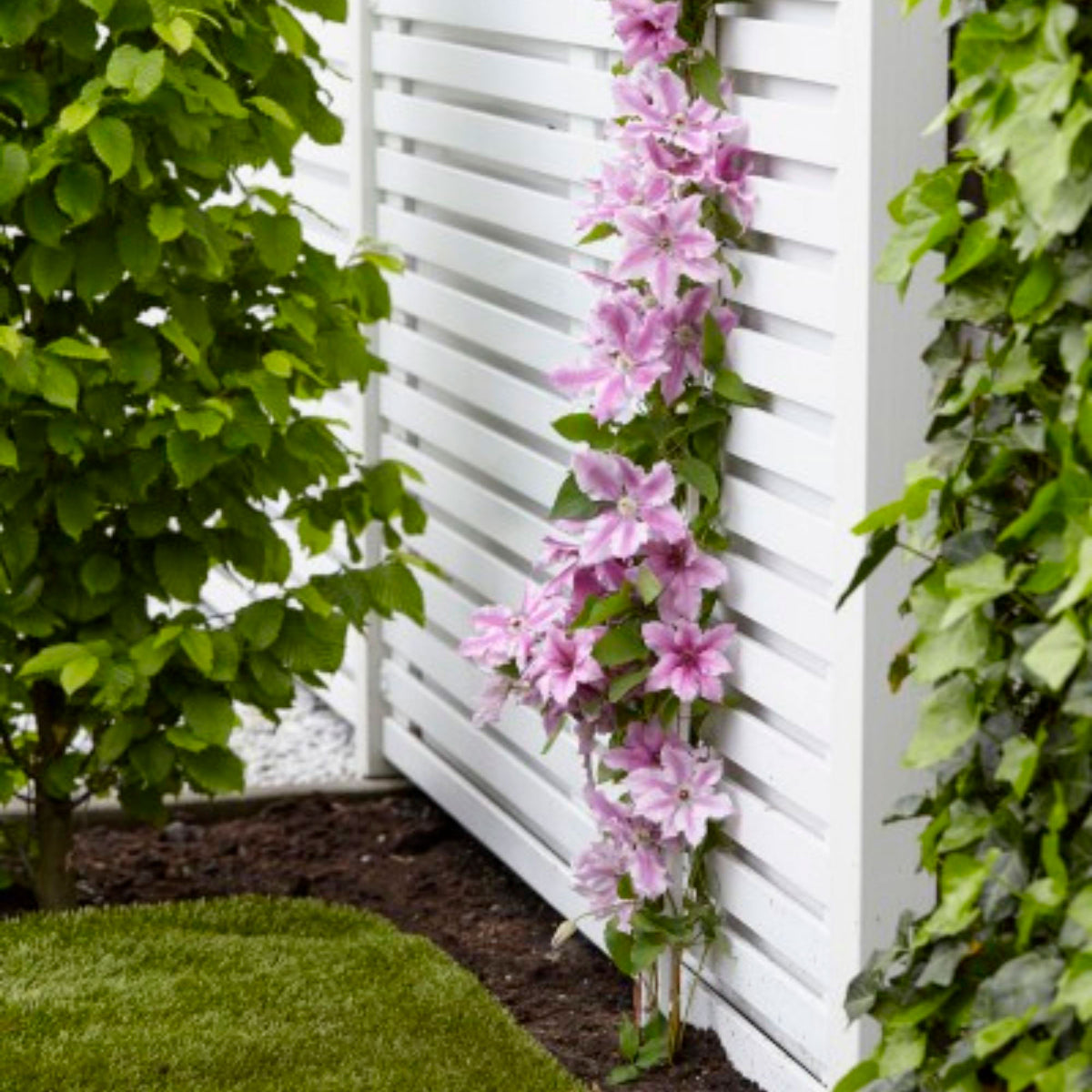 Climbing Frame White