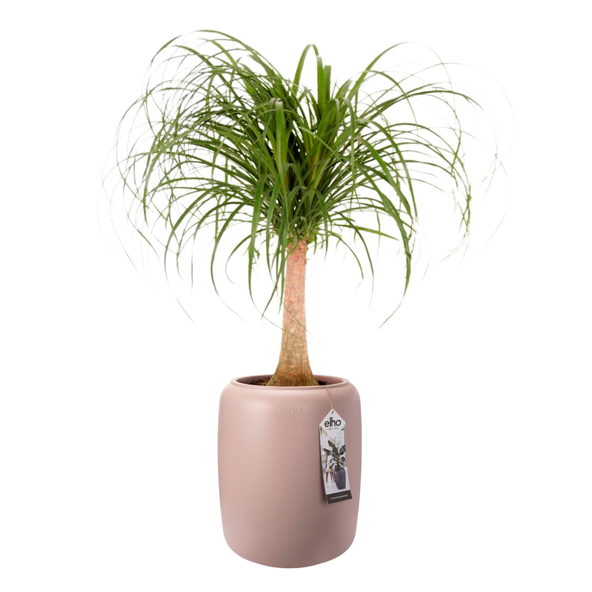 Elho Pure beads - Indoor and outdoor pot Pink