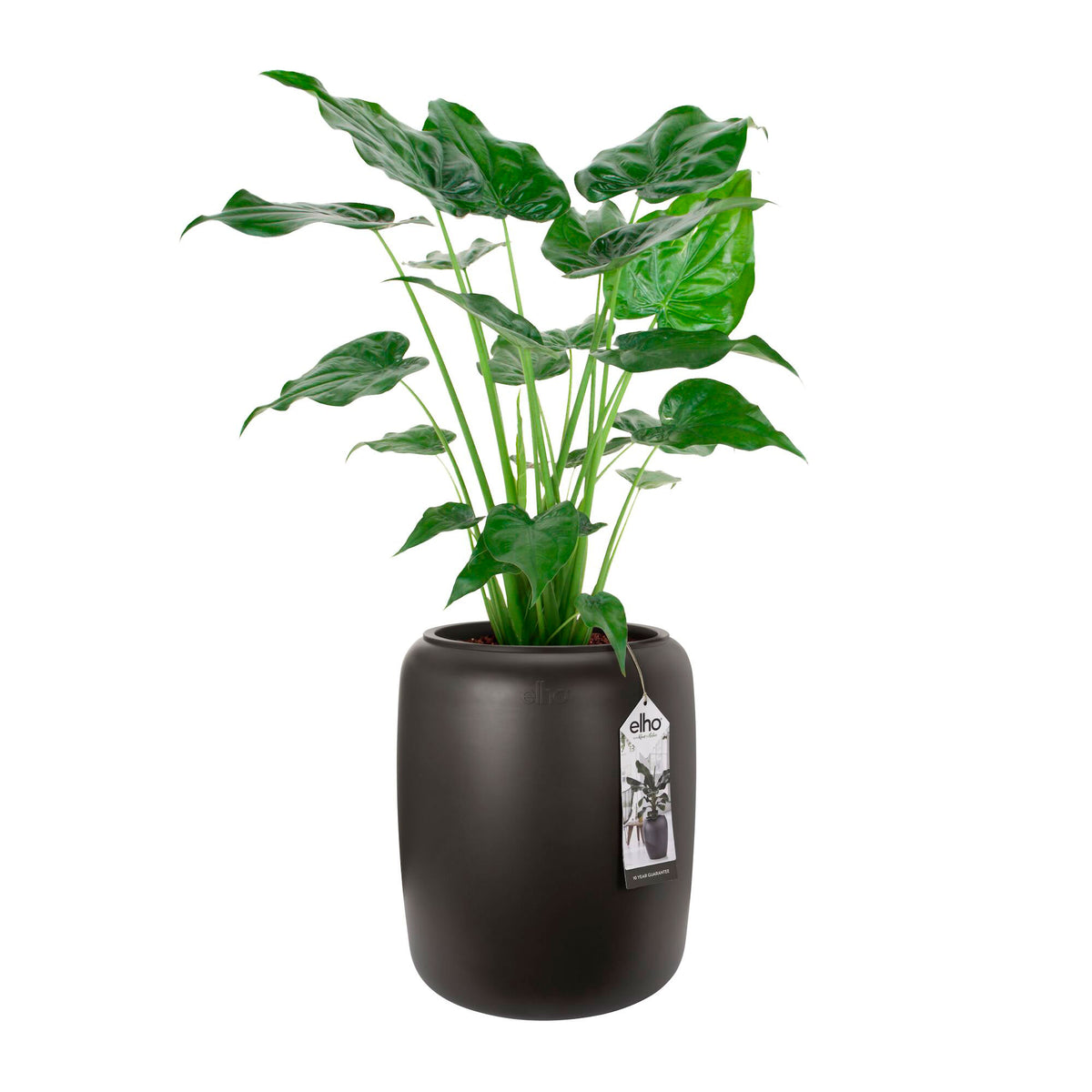 Elho Pure beads - Indoor and outdoor pot Brown
