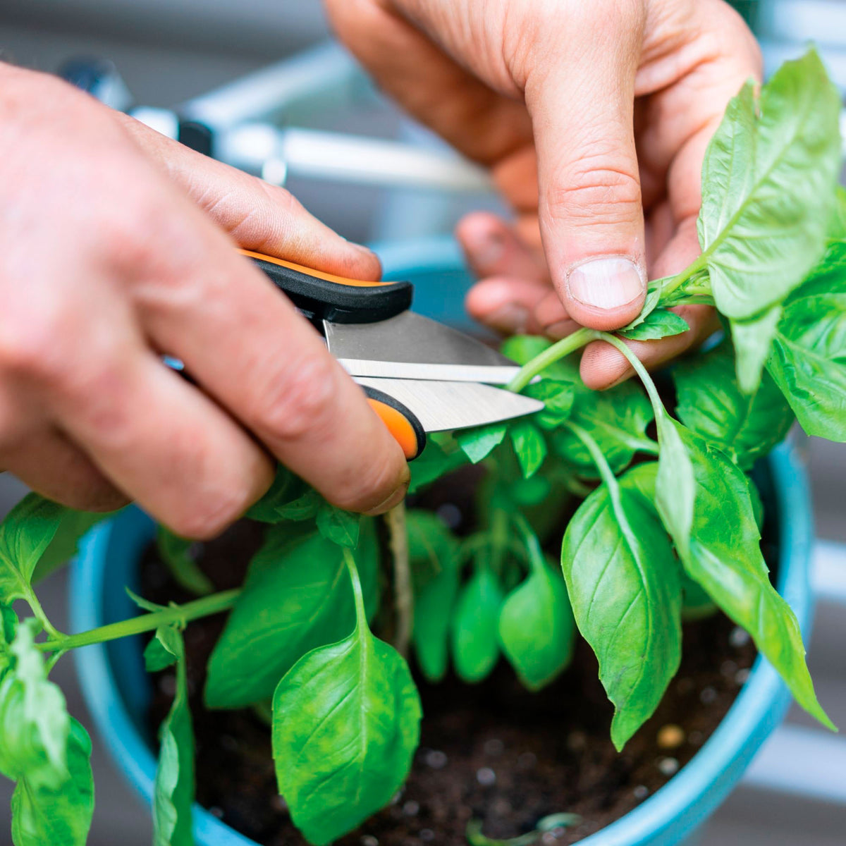Fiskars Fiskars Solid Herb Snip