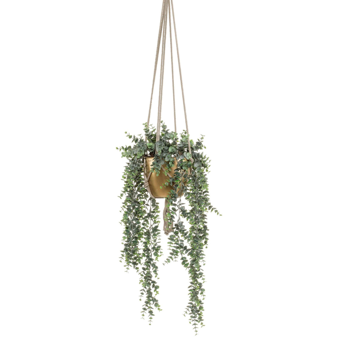 Artificial plant Eucalyptus incl. decorative pot