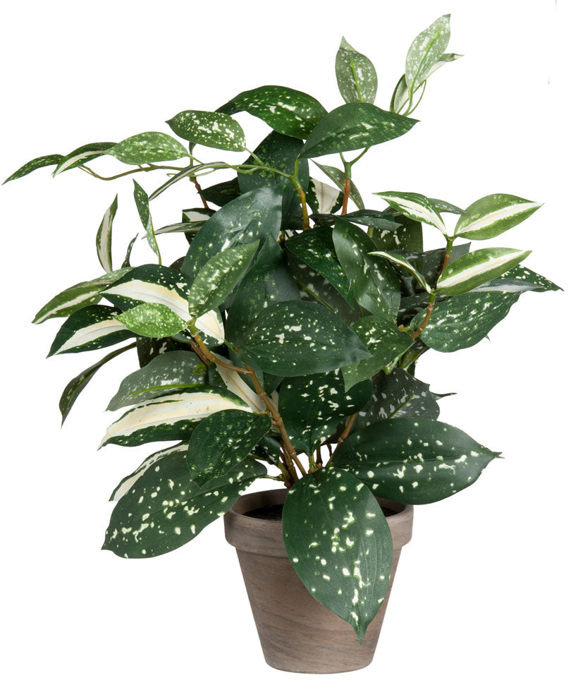 Artificial Cordyline
