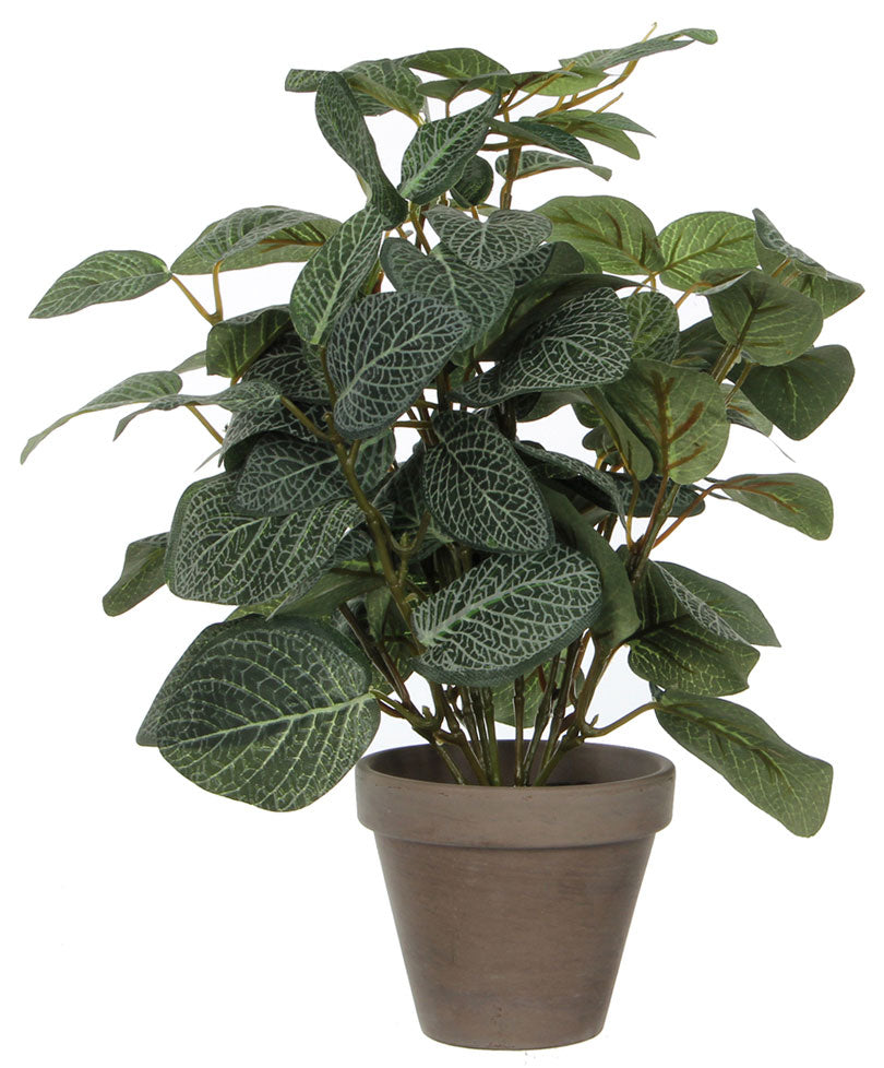 Artificial Pilea