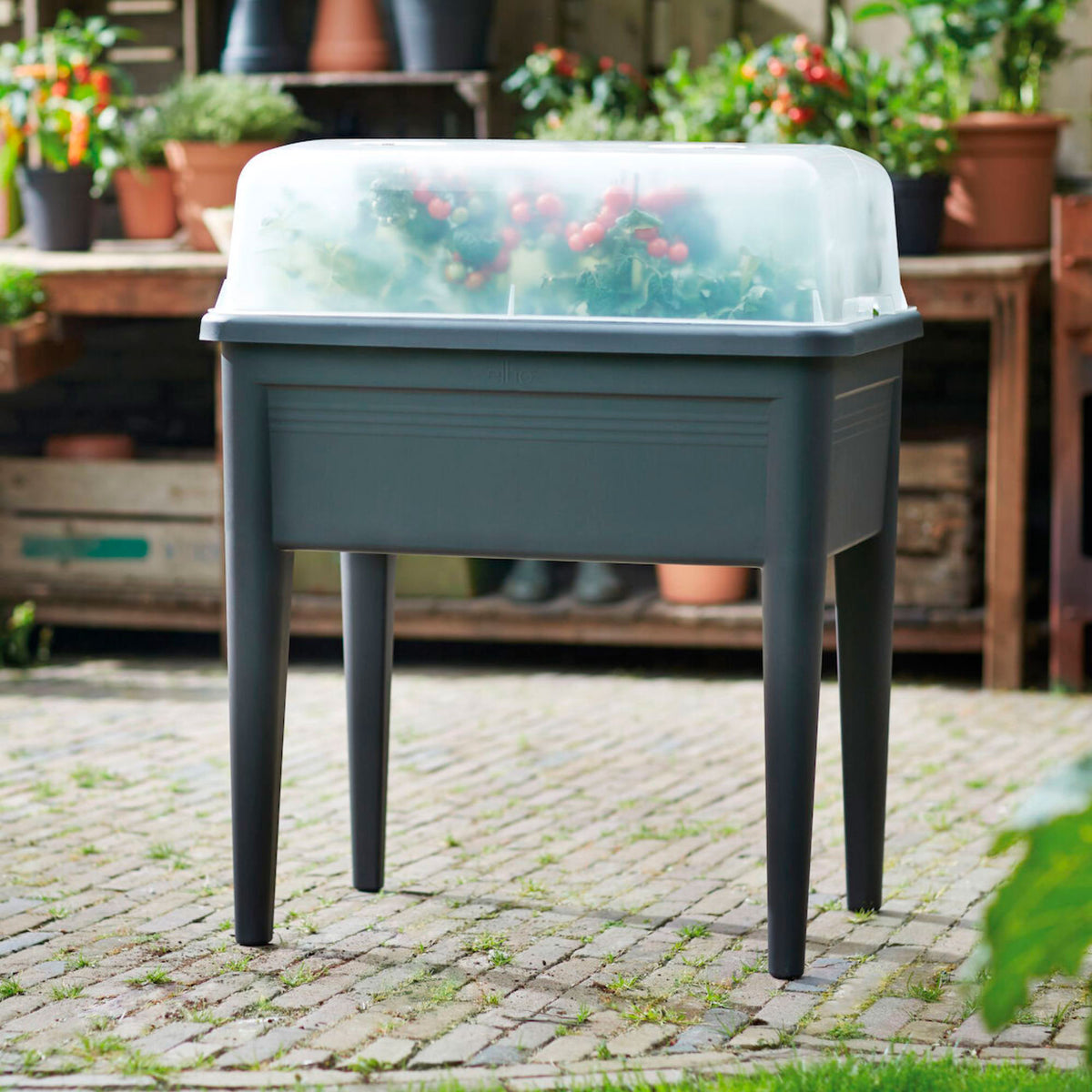 Elho Transparent lid