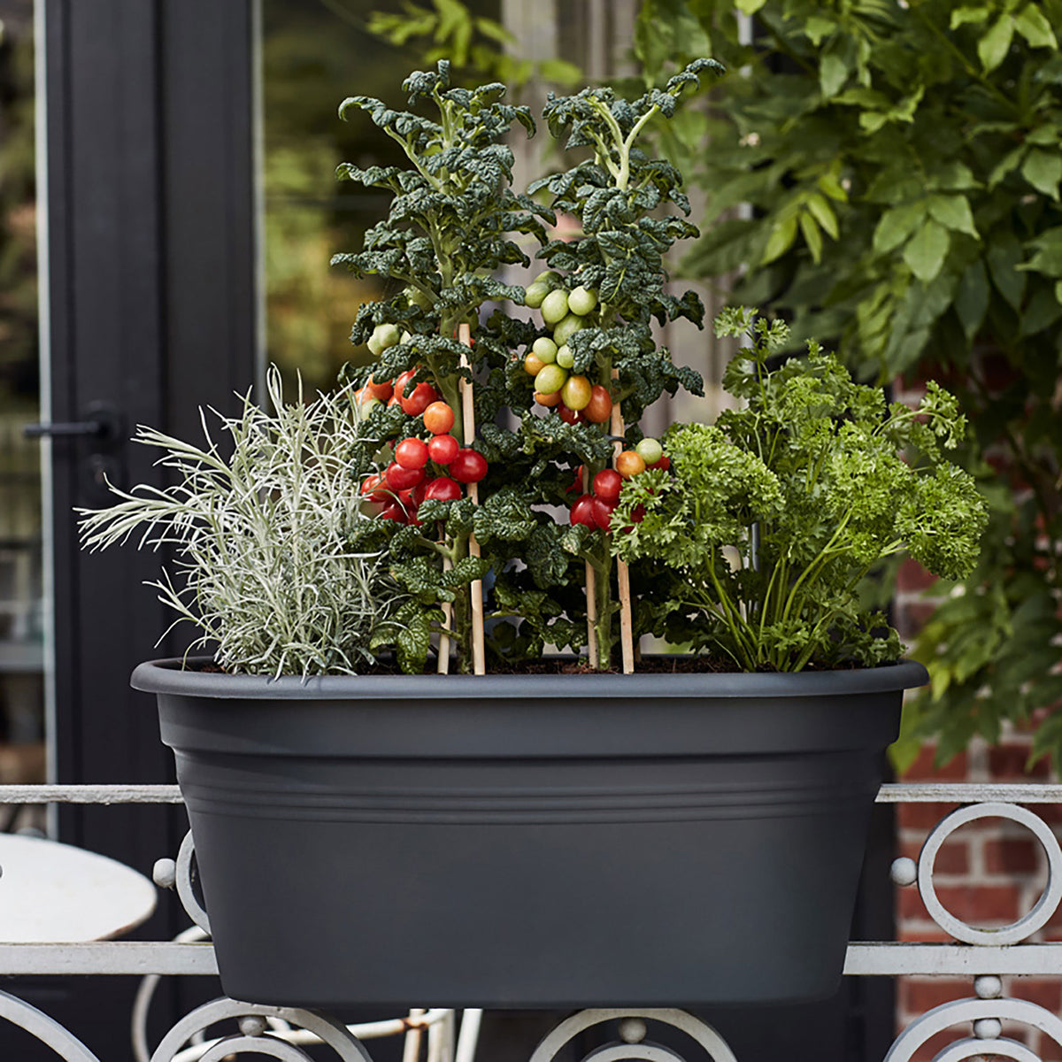 Elho balcony planter Green basics flower bridge oval black - Outdoor pot