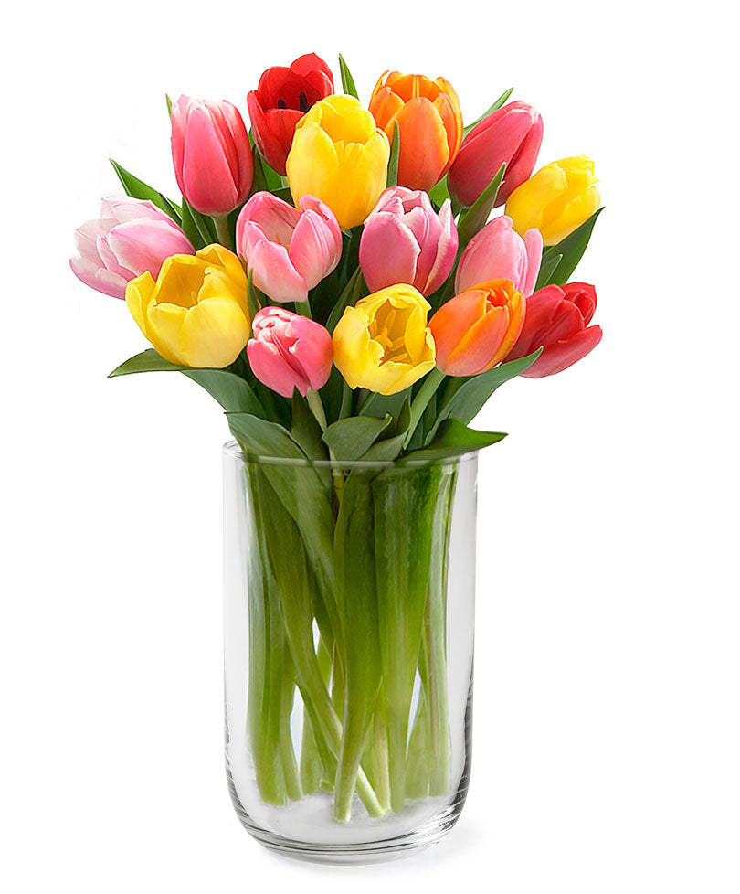 Ecoglass Vase 'Davinci' Transparent