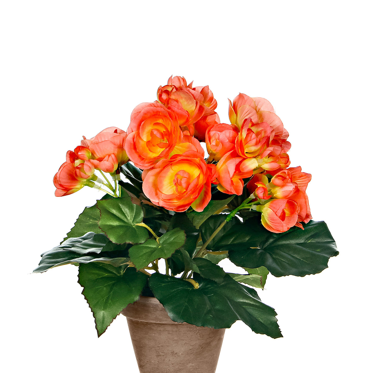 Artificial Begonia