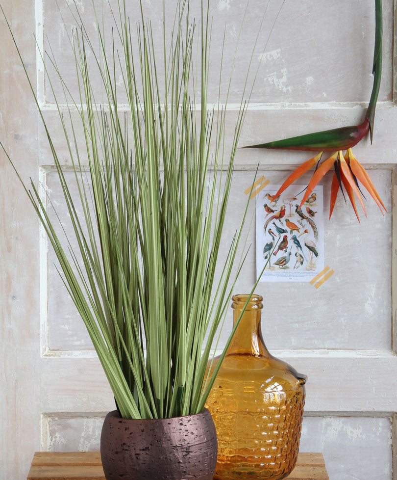 Mica Art. Ornamental Grass