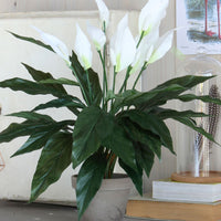 Artificial Peace Lily White