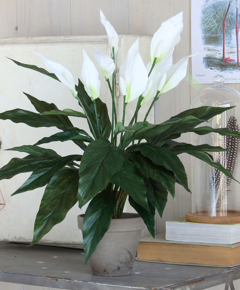 silk peace lily plants Artificial Peace Lily White