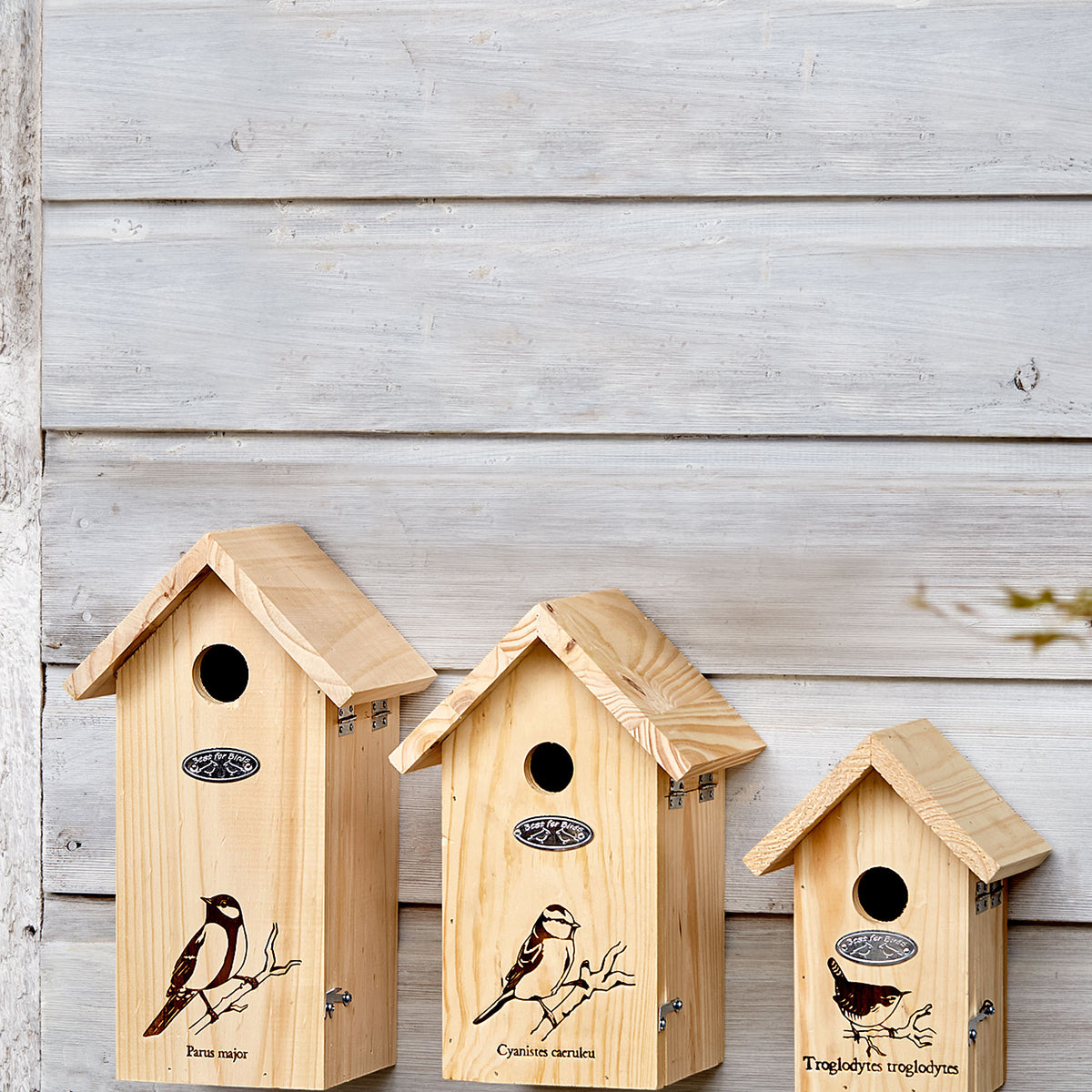 Best for Birds Nest Boxes