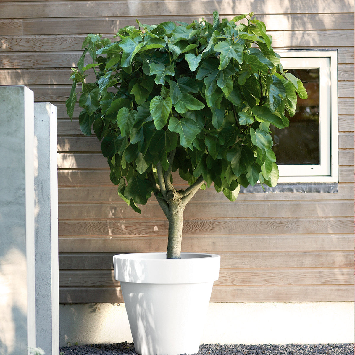 Elho flower pot Pure round white - Indoor and outdoor pot