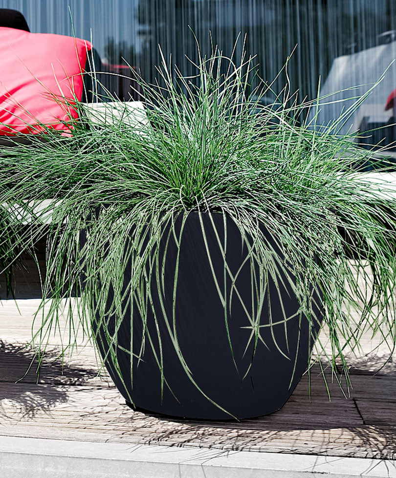 Elho flower pot Pure soft round anthracite - Indoor and outdoor pot