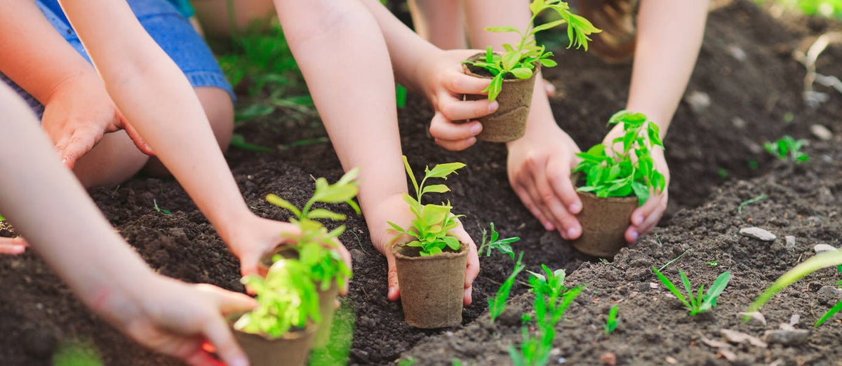 Five new green hobbies for your children