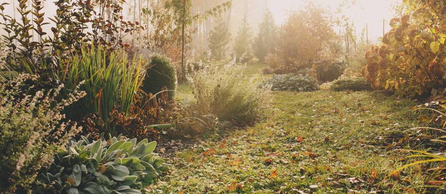 Winter checklist: prepare your garden, (roof) terrace or balcony for winter