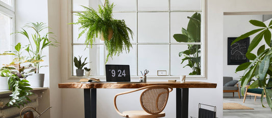 Playing with greenery in smaller spaces at home