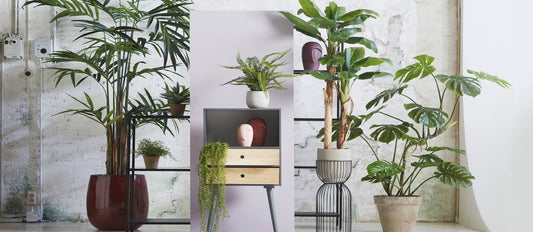 Artificial plants: For everyone who is slightly less green-fingered