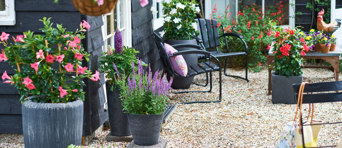 Use plants in pots to brighten up your patio!
