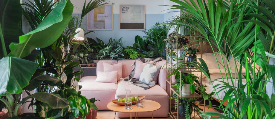 Create your own urban jungle