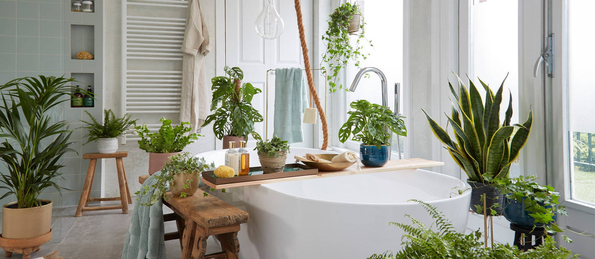 Create your own home spa