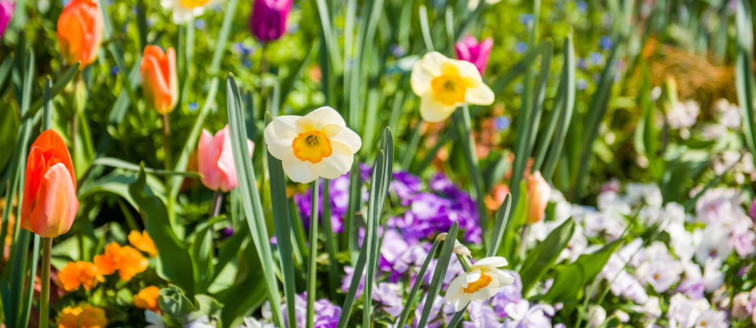 Get your garden ready for spring!