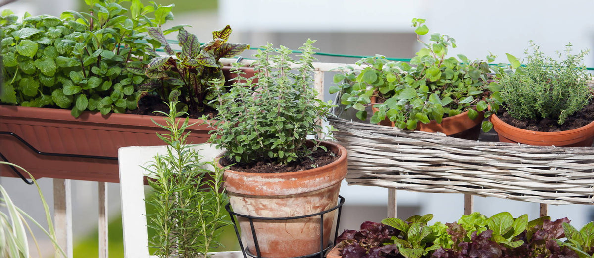 Urban gardening