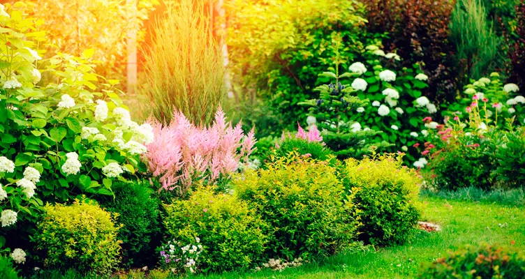 Get your garden ready for a hot summer