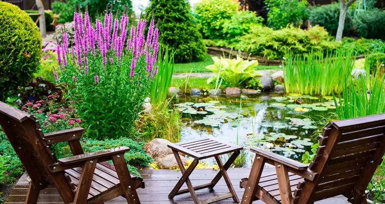 How can you use plants to enhance your pond?