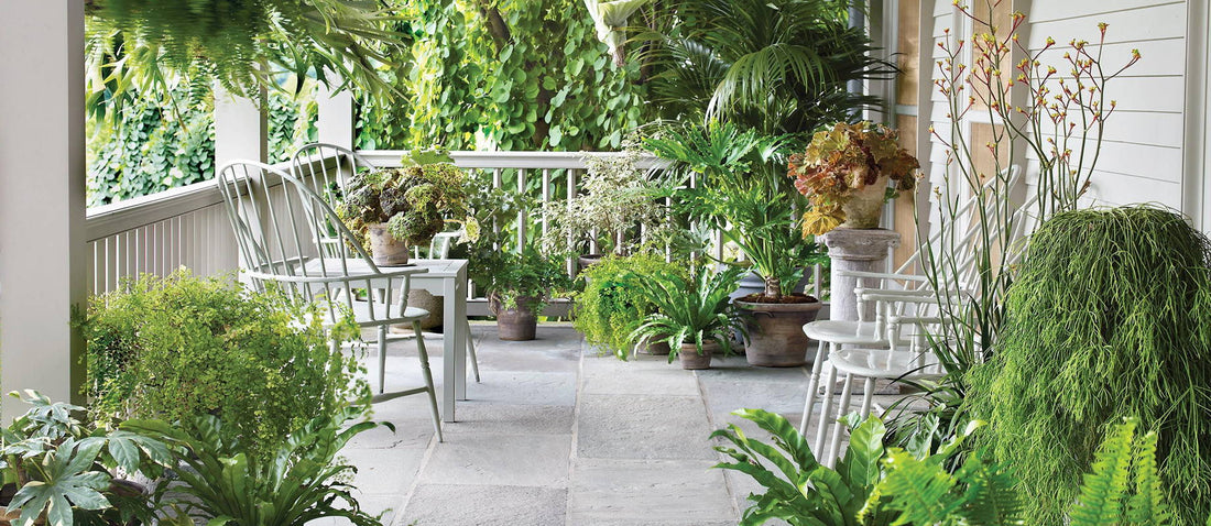 Metropolitan Greenery: Crafting an Urban Jungle Oasis Metropolitan Greenery: Crafting an Urban Jungle Oasis