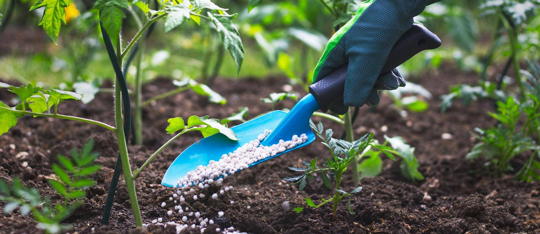 Everything you need to know about fertilising your garden