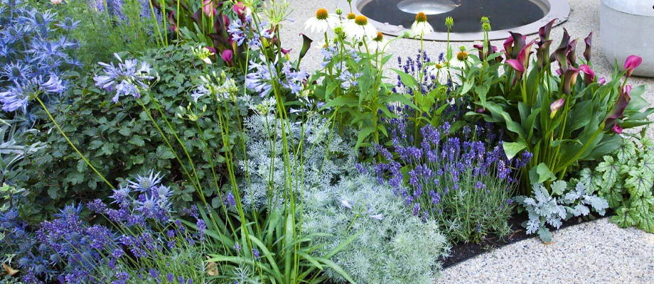 Gardening 2.0: Combining perennials and summer bulbs