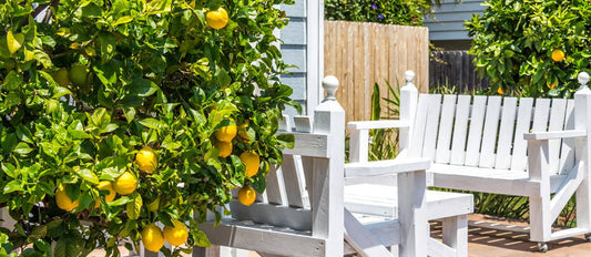 7 easy tips for creating a Mediterranean garden, patio or balcony