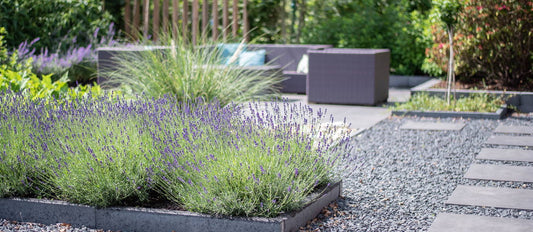 Basic tips to lay out an attractive front garden