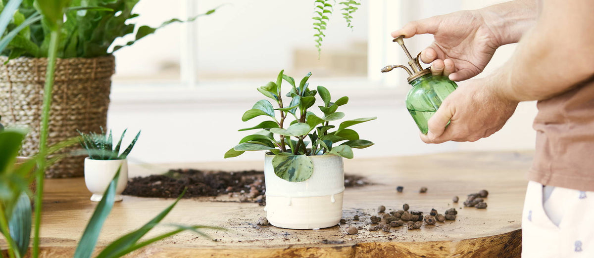 Out of your love of greenery