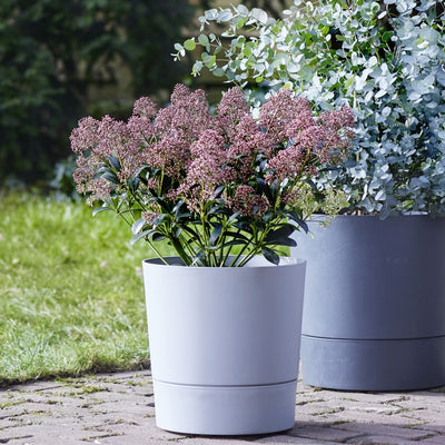 Bakker Planter () Bakker Planter