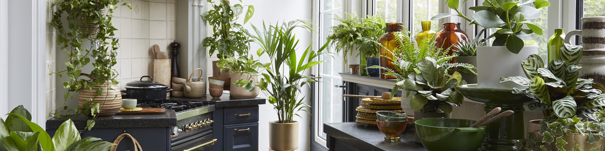 Place in your house