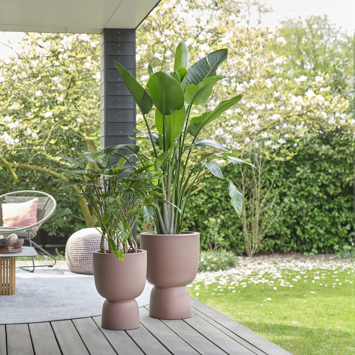 New flower pots