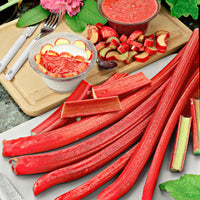 Rhubarb Rheum 'Victoria' Organic