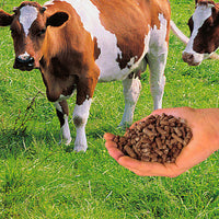 Bakker Manure Plus Granular Form