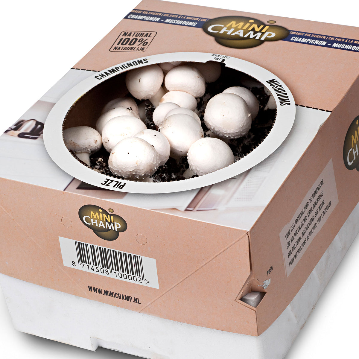 Mushroom cultivation set Agaricus bisporus white - Bio