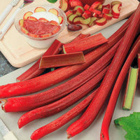 Rhubarb Rheum 'Victoria' Organic