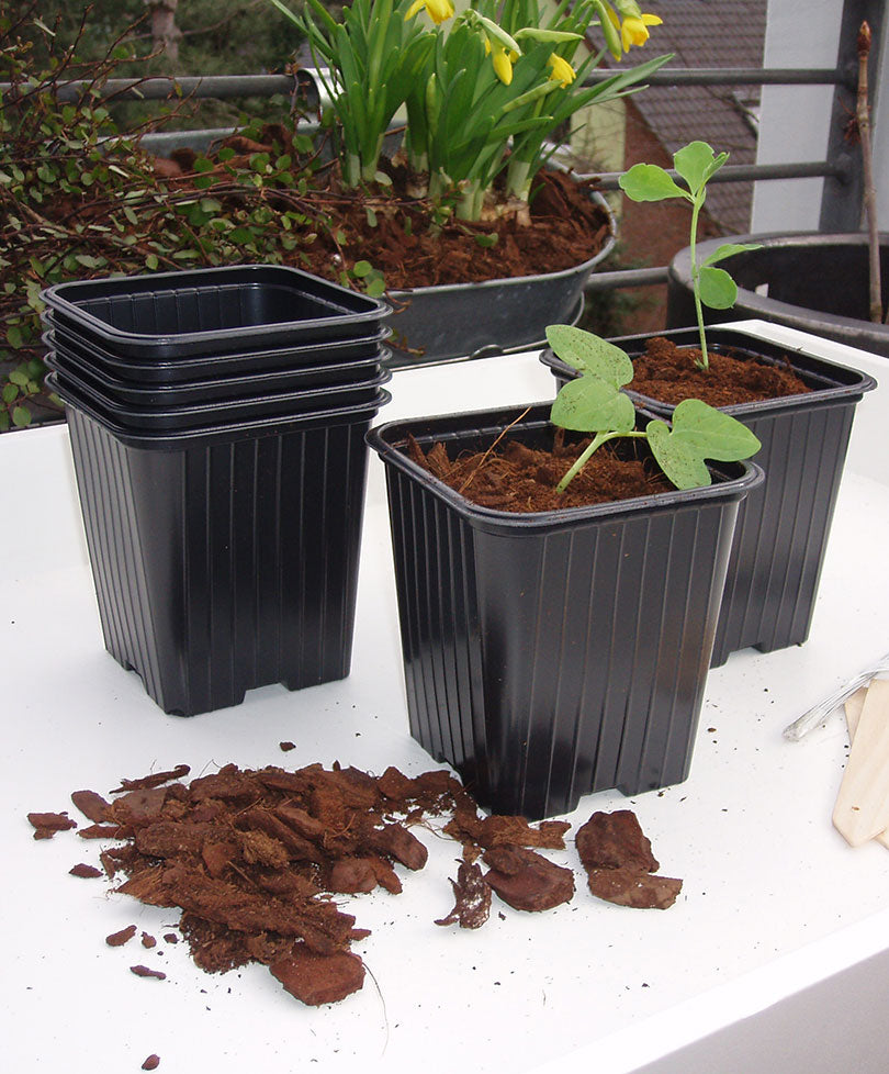 Cutting Pots